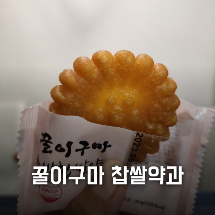 꿀이구마 찹살 꿀 약과 내돈내산 후기
