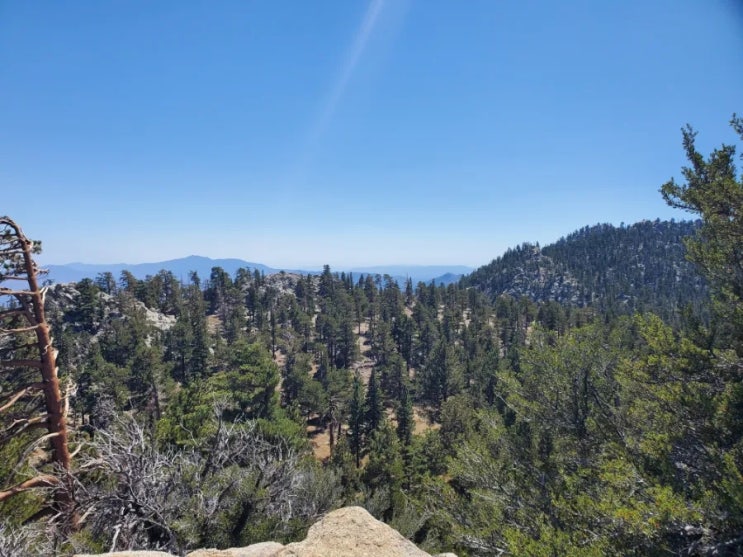 Palm Springs Aerial Tramway 팜 스프링스 에어리얼 트램 후기 + 꿀팁