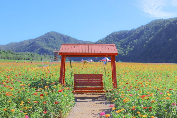 산소카페 청송정원