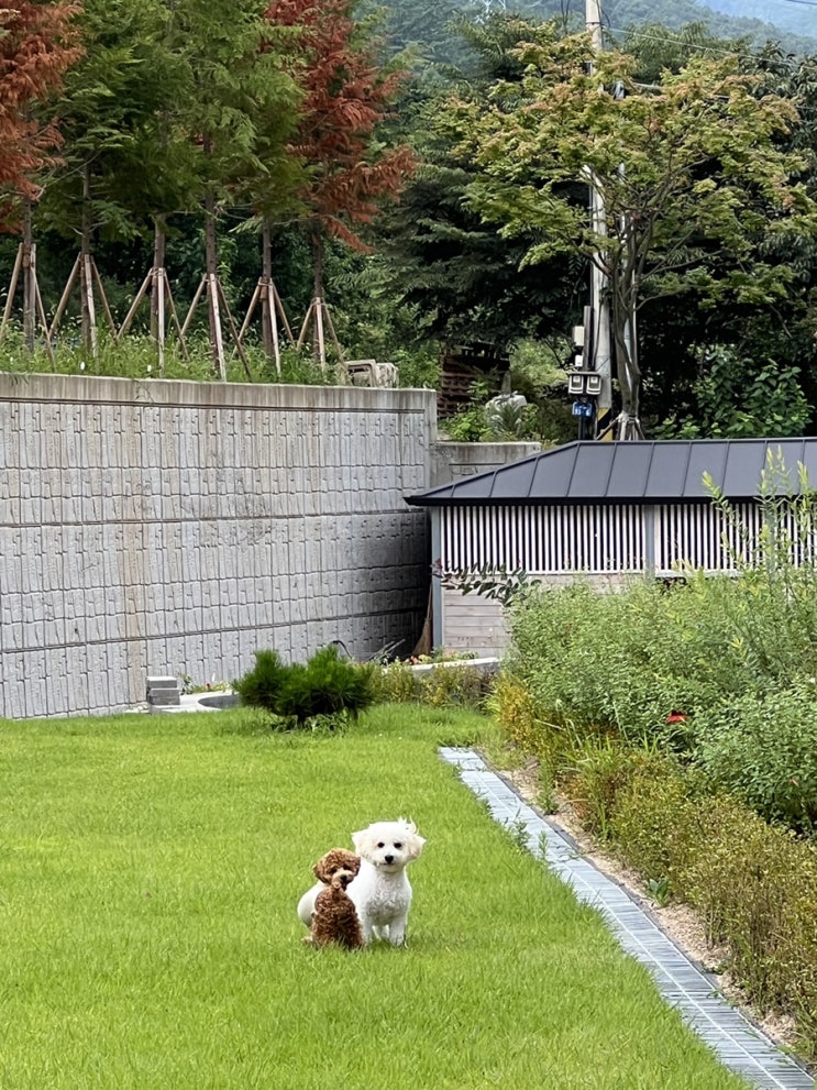  [블챌 이어하기] 8월 나머지 반!(하)