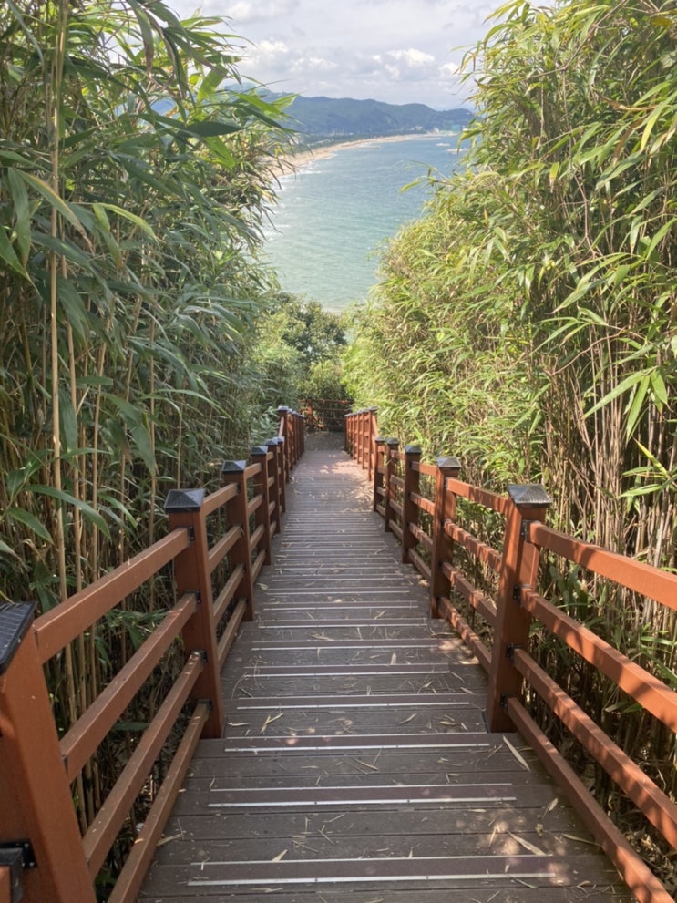  삼척 덕봉산 해안생태탐방로