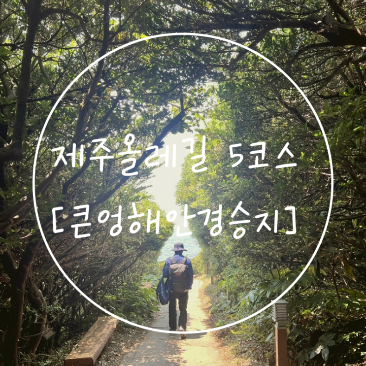 제주올레길추천 남원큰엉해안경승지 '제주도올레길5코스'