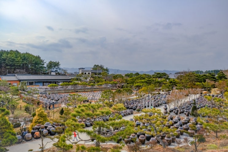  전북 익산 가볼만한 곳! <익산 핫플> 항아리뷰 정원, 고스락 카페