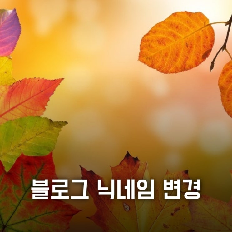 블로그 닉네임 변경~러블리정남매에서 러블리쪼미로^^