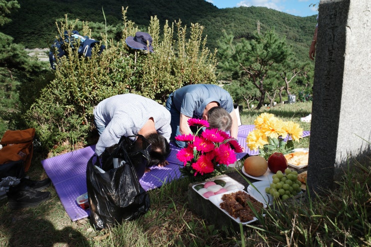 [지난 후기] <b>추석</b> 성묘, <b>만찬</b>, 신천 산책