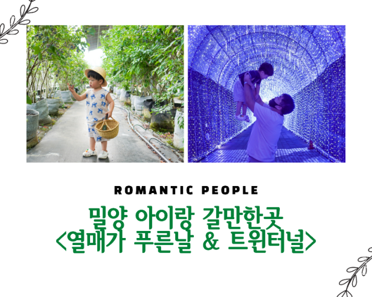 [밀양 여행/아이랑 갈만한곳] 블루베리 수확체험농장 "열매가 푸른날" & "트윈터널"