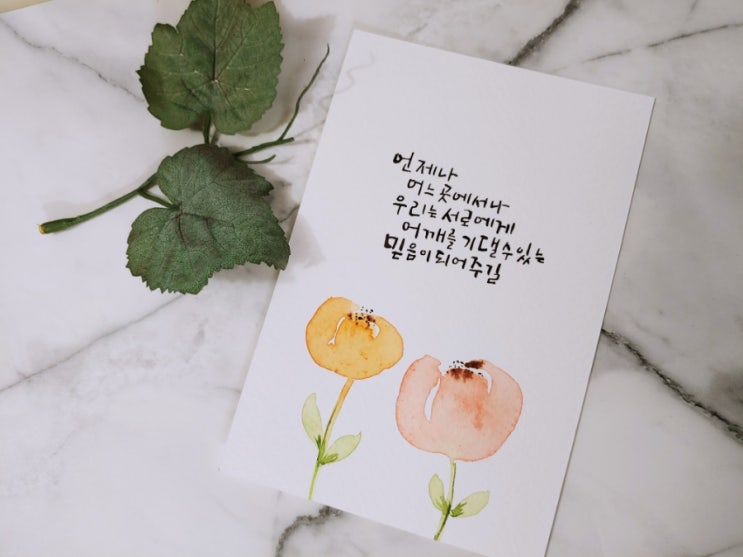  (도드캘리)언제나 어느곳에서나