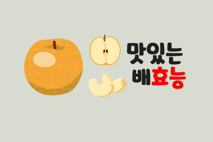  배효능 5가지