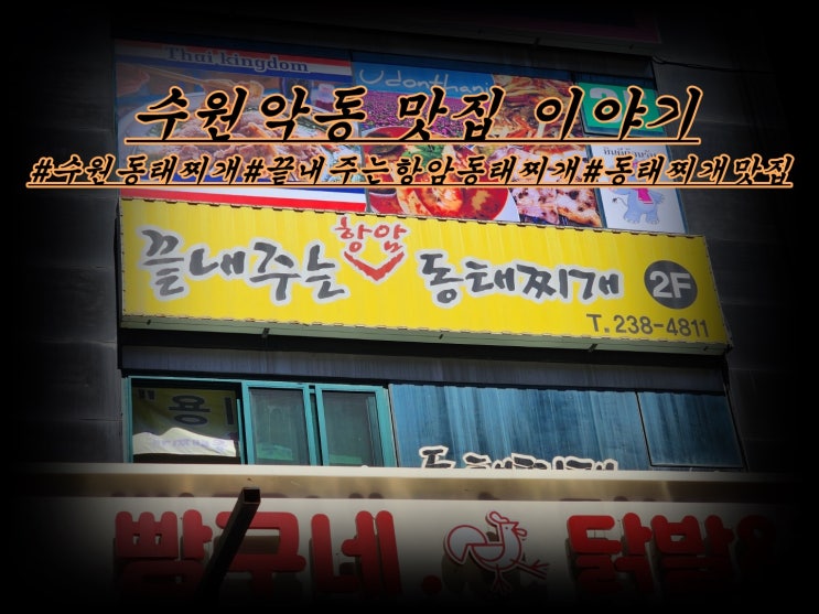  수원 동태찌개 맛집 끝내주는 항암 동태찌개