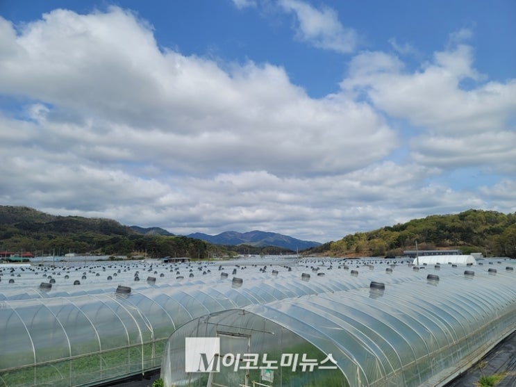 품목 따라 보상 달라지는 '농작물재해보험' 품목 따라 보상 달라지는 '농작물재해보험'