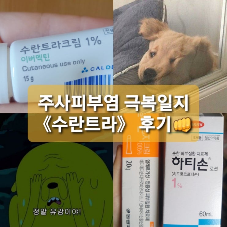  주사피부염 진단,극복일지 《수란트라》 사용후기(광고×,사진있음)