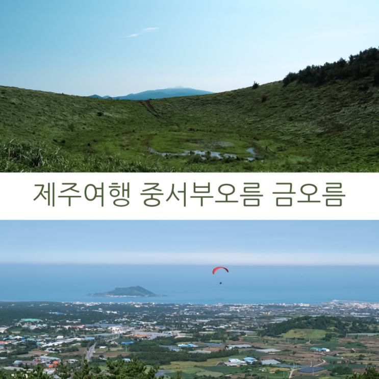  제주여행 제주 중서부 혼자 가기 좋은 금오름과 근처 가볼만한 곳