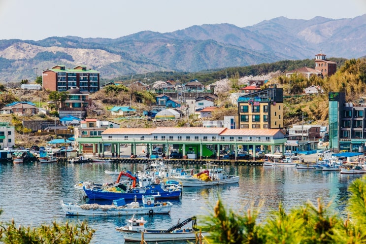 강원도 양양 가볼만한곳 3대 미항 남애항 전망대 여행 강원도 양양 가볼만한곳 3대 미항 남애항 전망대 여행