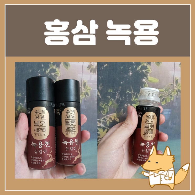  발효 홍삼 녹용 추천 발효녹용 녹용천 듀얼진 듀얼타입 기력보충