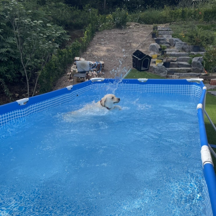  주간일기/ 아 아