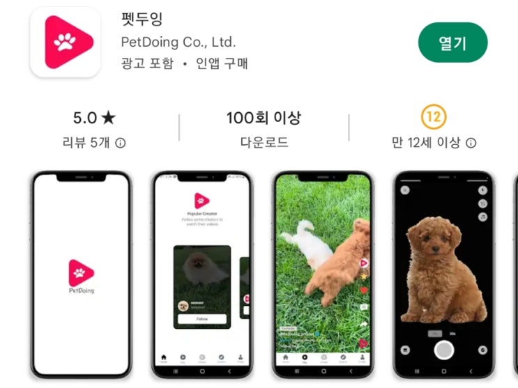 펫두잉 / 강아지동영상 반려동물 숏폼콘텐츠 기반 SNS플랫폼