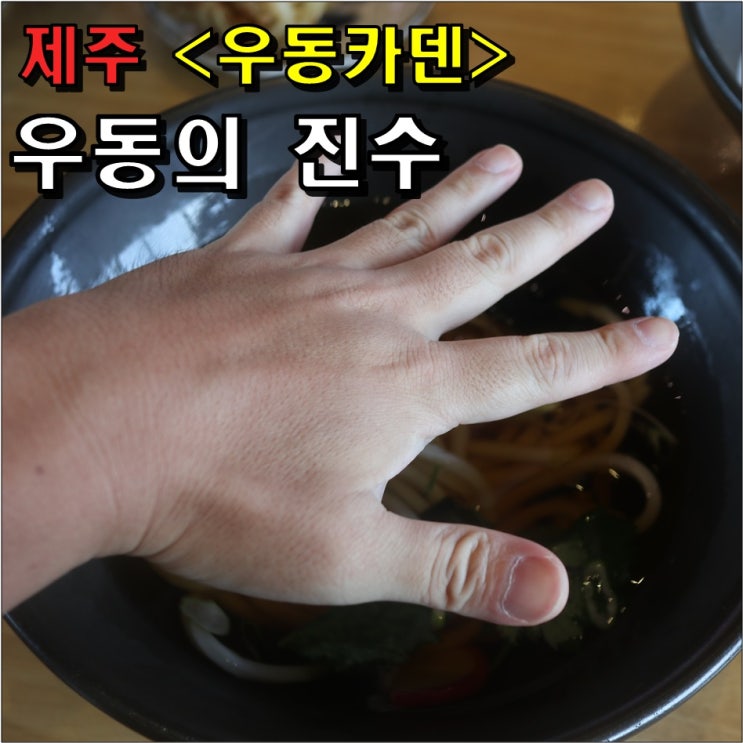  제주 우동카덴 방문기 : 위치 / 예약 / (추천)메뉴 / 개인적인 느낌