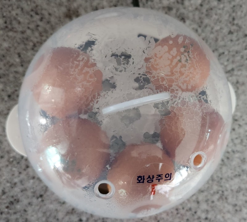 [초간단 계란삶기] 다이어터 필수템 라이녹스 계란찜기