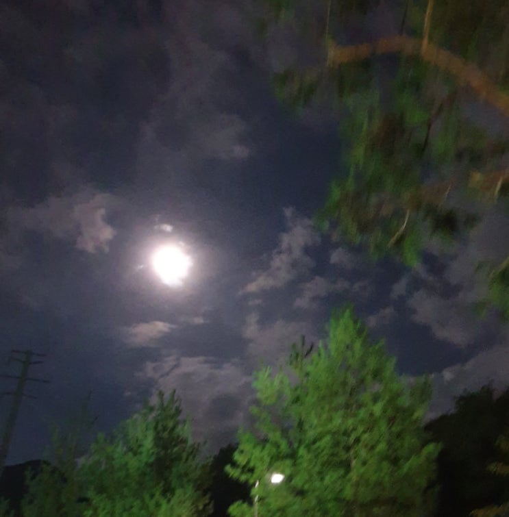  주간일기 챌린지 추석 보름달