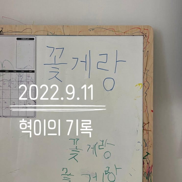  한글공부/5살아이/과자이름쓰기/과자사러가기