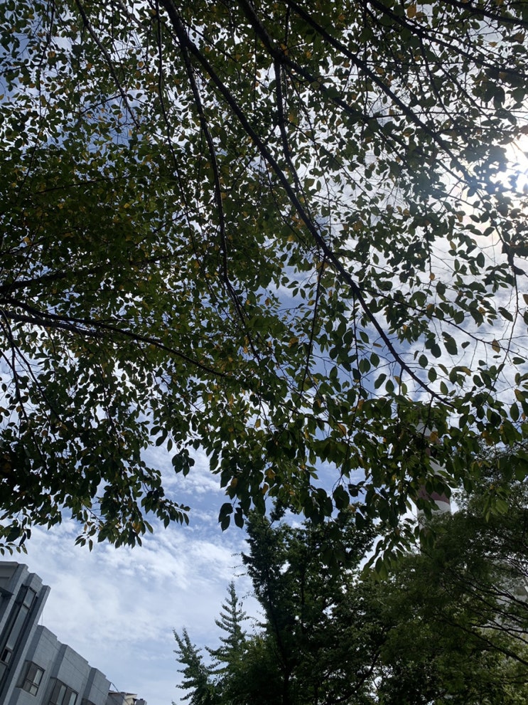  개운한 수면시간 / 적정수면시간 / 꿀잠 팁 / 잘자는 법
