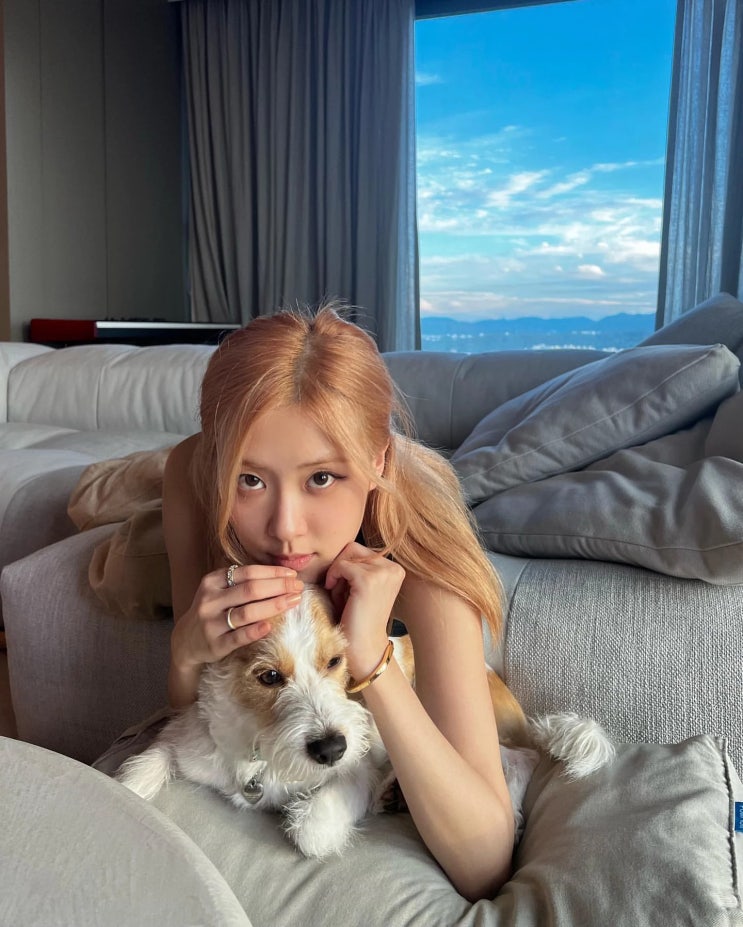 블랙핑크 로제가 반려견 행크 목에 걸어준 목줄, 명품 브랜드 제품으로 가격 알면 깜짝 놀란다 블랙핑크 로제가 반려견 행크 목에 걸어준 목줄, 명품 브랜드 제품으로 가격 알면 깜짝 놀란다