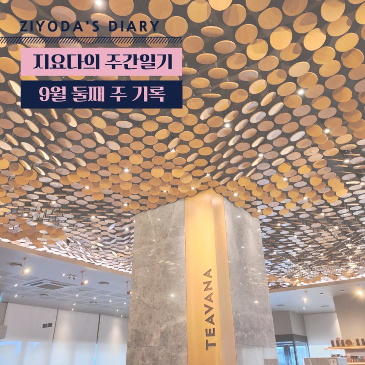  9월 둘째 주 기록 (9/5~9/11_행복한 추석주간)