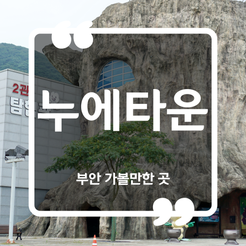  부안 가볼만한 곳 - 누에타운 입장료 이용시간
