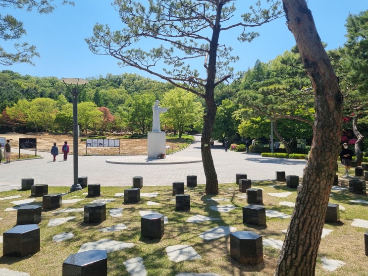 남양성모성지[성모순례지/대성당/경기/화성]