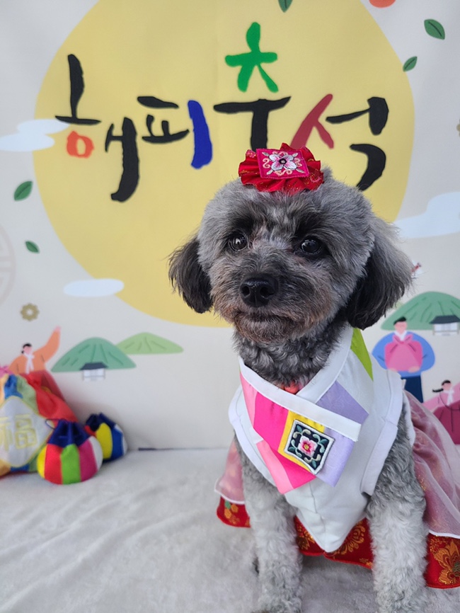  주간일기챌린지 9월1주차