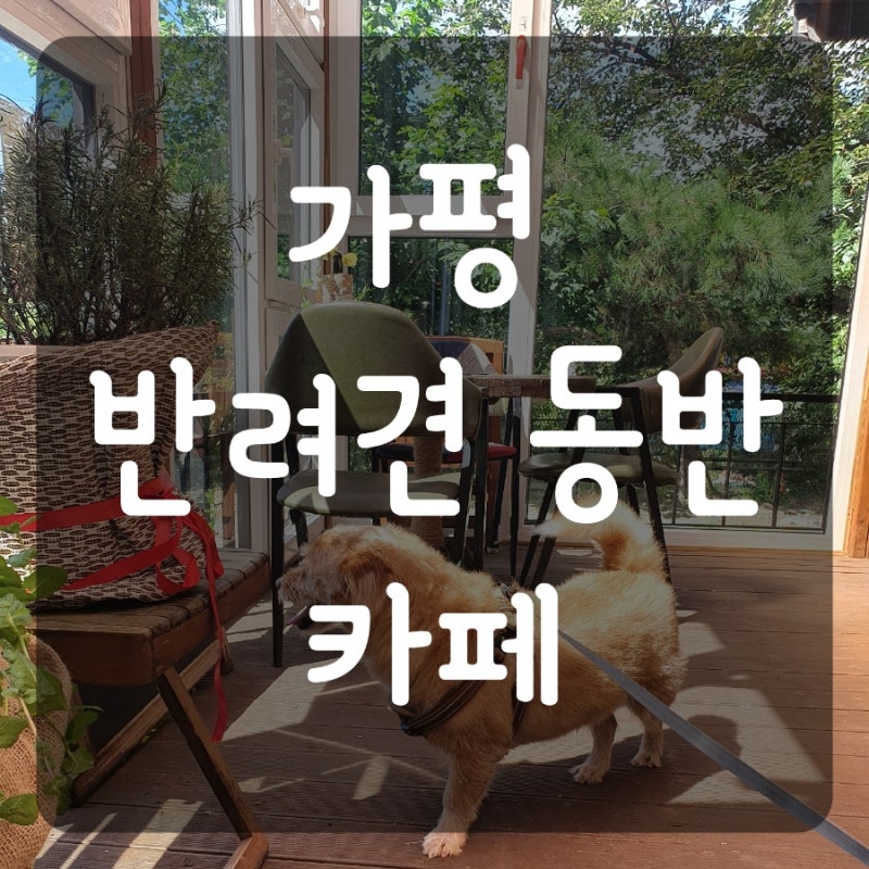 The건강한카페