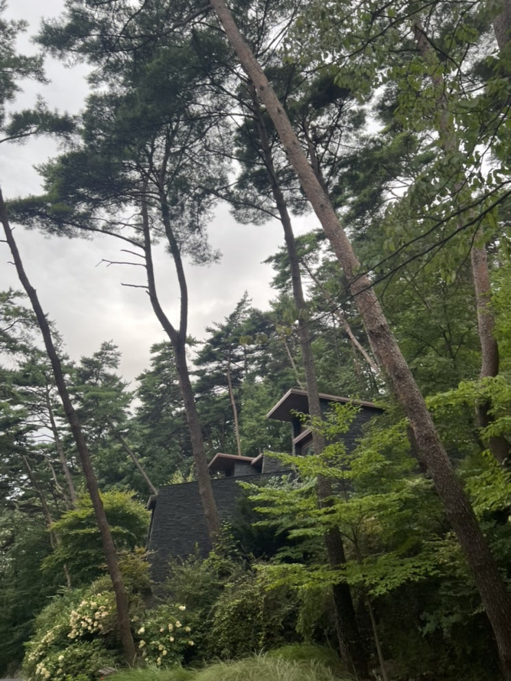  오래사는 법 ( 필독 )