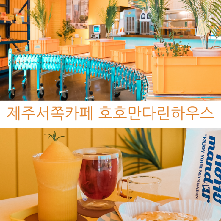  제주여행 / 제주 가볼만한 곳 올레길 15코스 제주서쪽카페 한림 호호만다린하우스