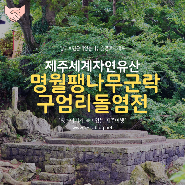  제주가을여행 명월팽나무군락 그리고 구엄리돌염전, 옛이야기가 숨어있는 제주여행!