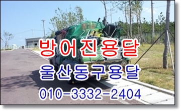 방어진용달 정자 양남 울산동구 용달차. 방어진용달 정자 양남 울산동구 용달차.