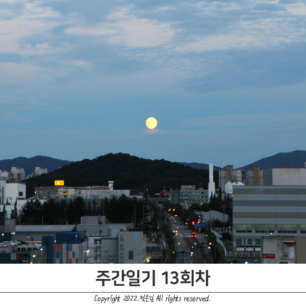 주간일기 13회차 : 추석 주간일기 13회차 : 추석