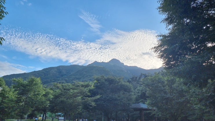  나만 알고 싶은 구미 금오산도립공원야영장 (캠핑장)