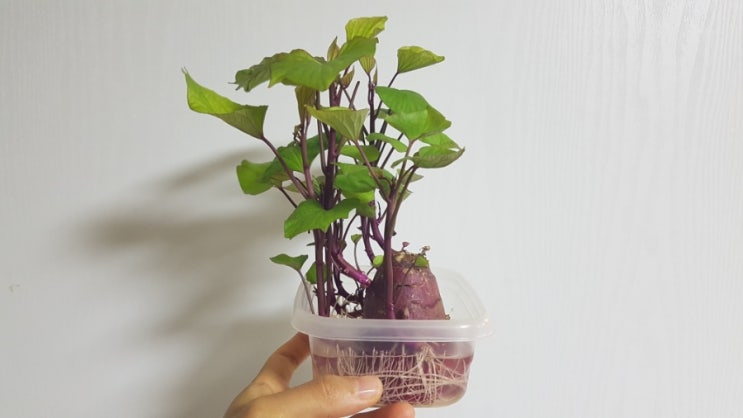  [블챌] 주간일기챌린지 신나는 9월