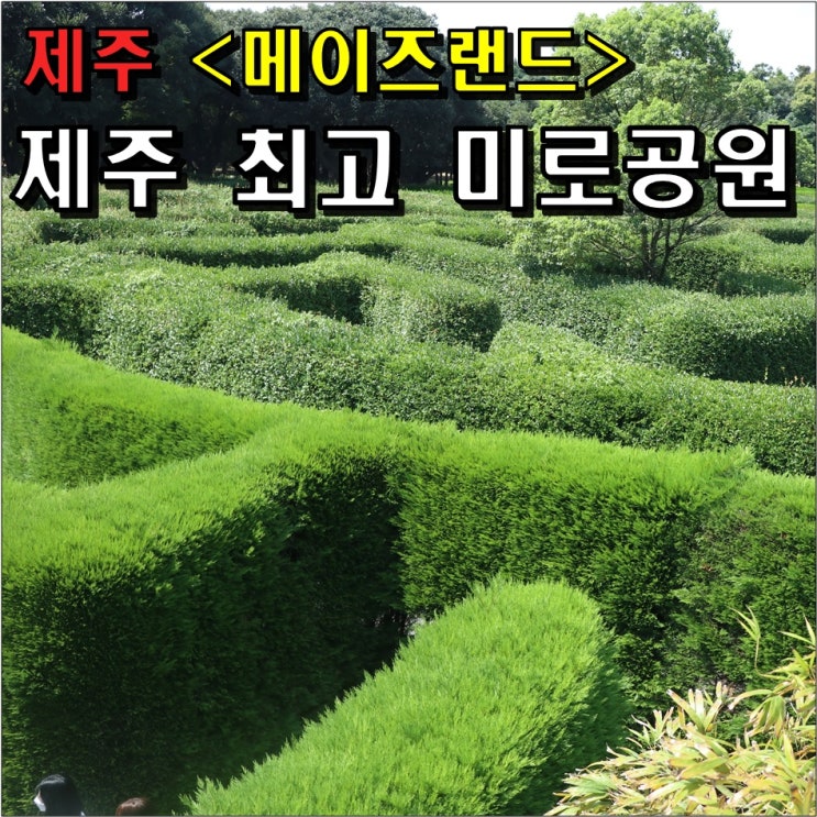 제주 메이즈랜드 방문 : 입장료 및 소요시간, 난이도, 김녕미로공원과 비교 (Ft. 제주도 최고의 미로공원)