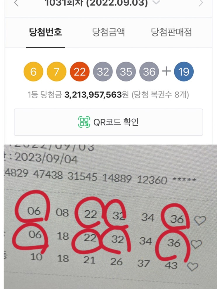 주간일기 13 로또 1등 되는 줄