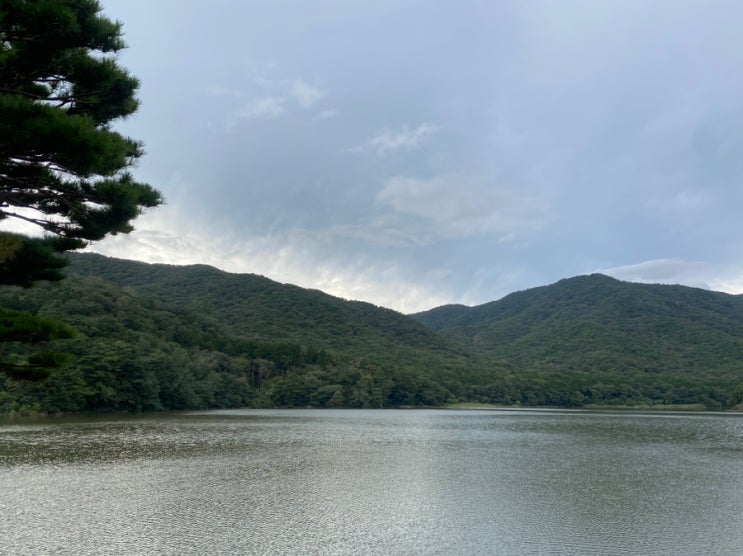  양산 법기수원지 - feat. 양산에서 힐링 산책 & 주차장 주의사항