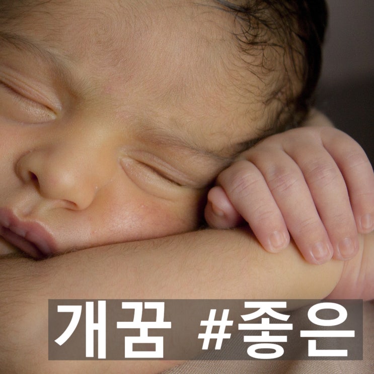  개꿈, 길몽 강아지 꿈풀이 꿈해석 태몽 길몽 흉몽 # 좋은