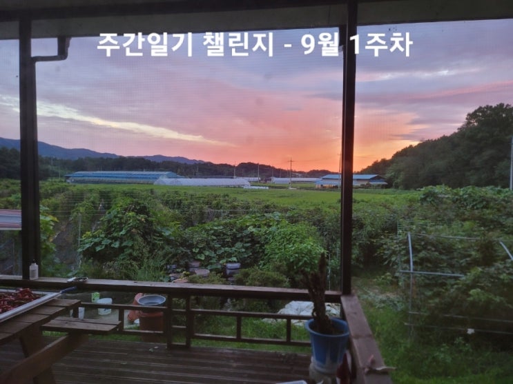  태풍이 지나고, 노을이 예쁜 즐거운 한가위~
