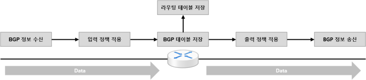[BGP] BGP Table Code 확인