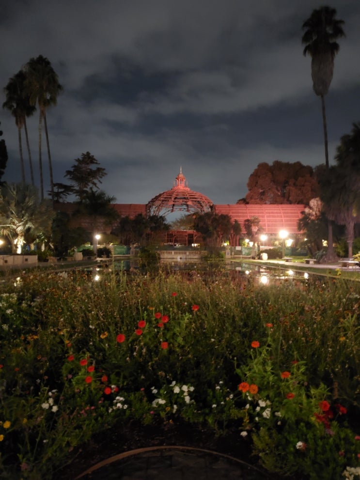  저녁에 간 발보아 파크 Balboa park 후기