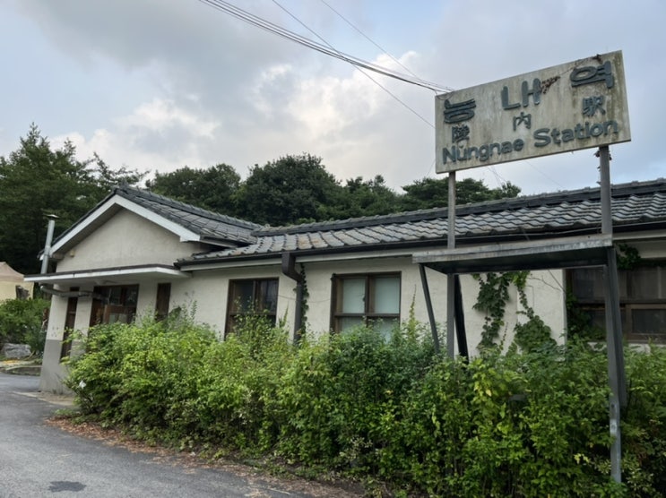  여름휴가 Day2: 서울 근교 소소한 나들이명소 [능내역 폐역]