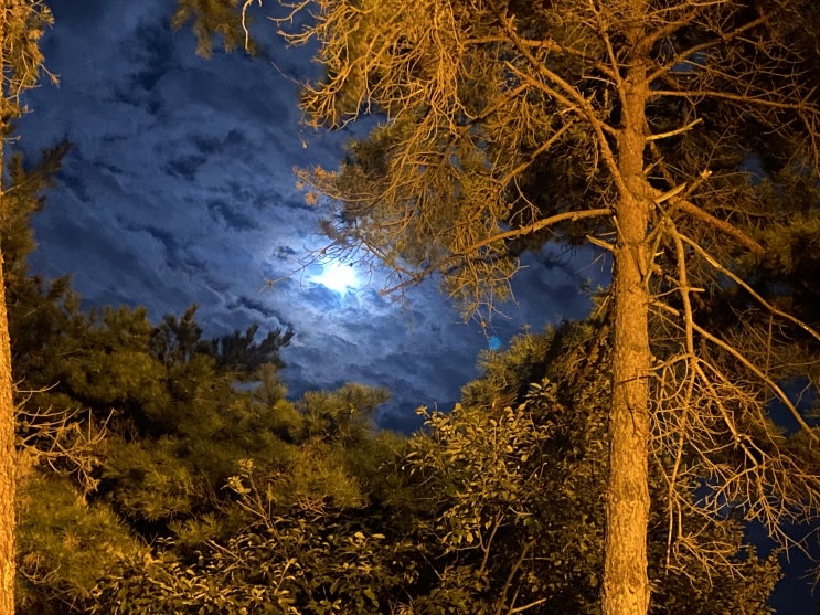  9월 첫째주 나의 일상 기록 ~