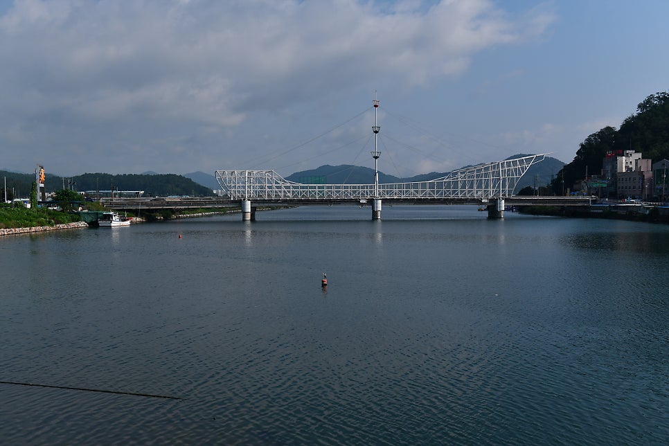 영덕 독경산 로드 사진 4