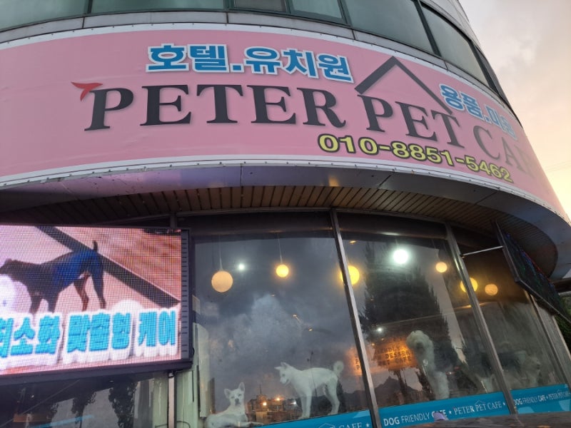 피터펫 애견호텔 & 애견유치원