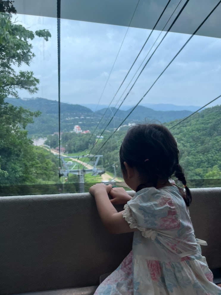  [평창] 용평리조트 발왕산케이블카 스카이워크 추천해요